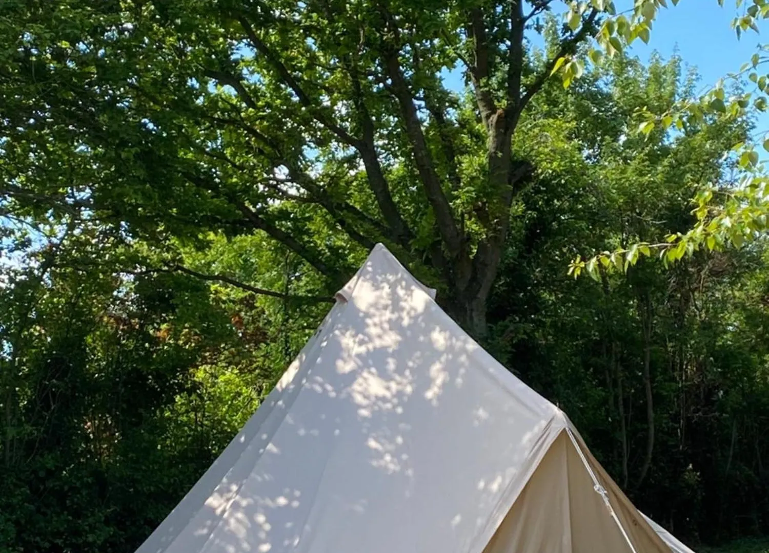 大哈林贝利 Glamping By Stansted Airport酒店 0*,  英国